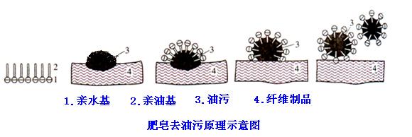 肥皂、洗衣粉和洗衣液三者有哪些區(qū)別？